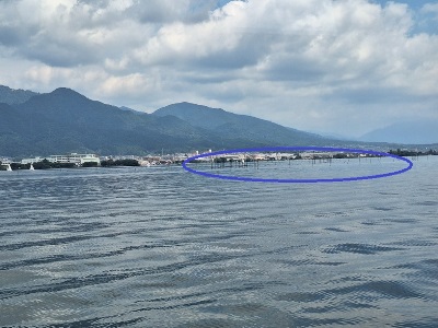写真