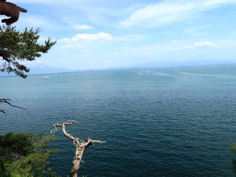 写真