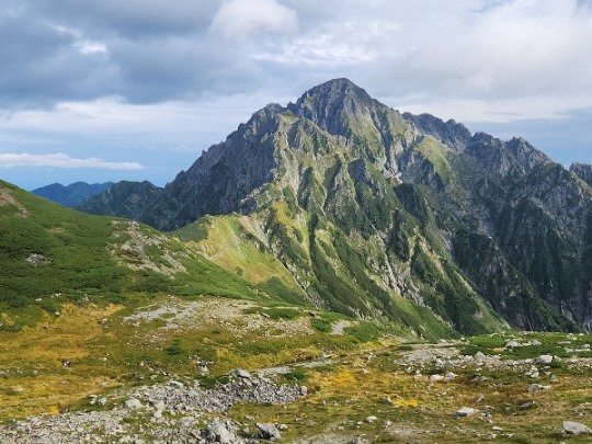 Top_photo