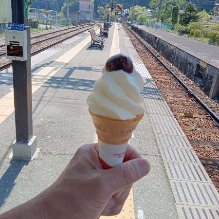 写真