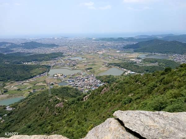 写真