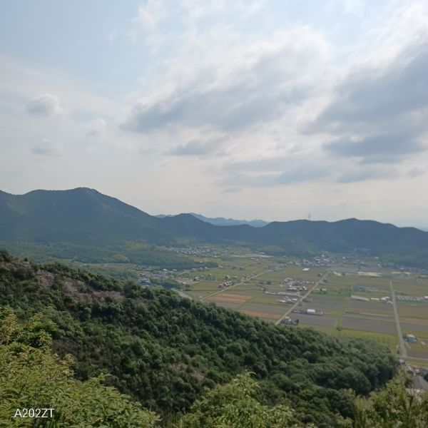 写真