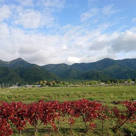 写真