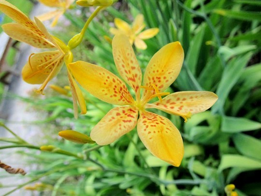 Top_photo